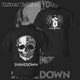 Vintage Shinedown Skull T Shirt & Hoodie