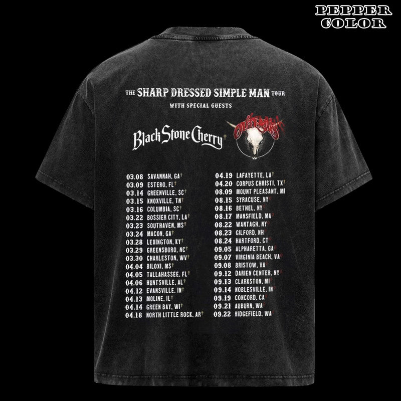 Vintage Lynyrd Skynyrd Z Z Topp Tour 2024 tshirt