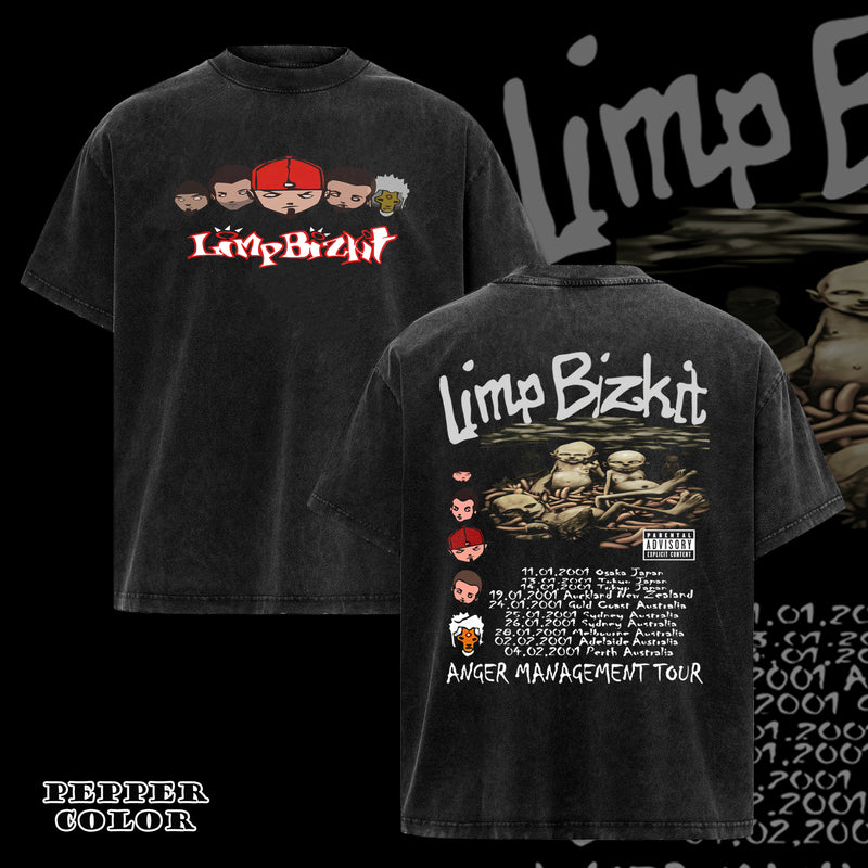 Vintage Fan Limp Bizkit Classic T-Shirt