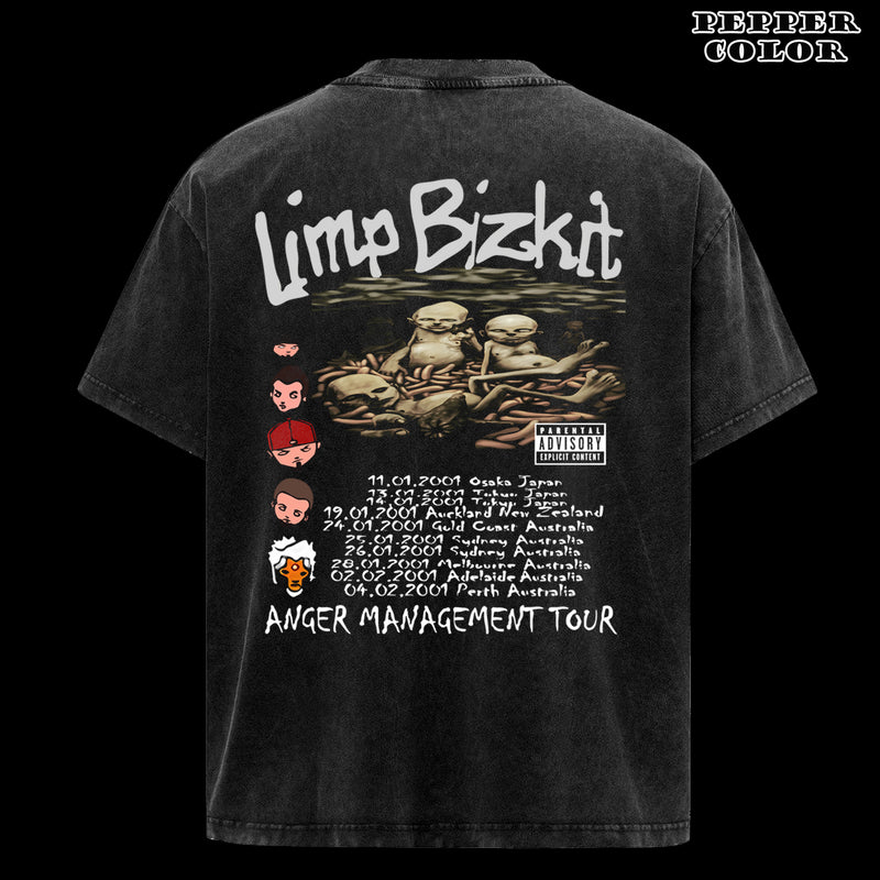 Vintage Fan Limp Bizkit Classic T-Shirt